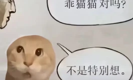 刷视频觉得这个脸模和发型不错，有兄弟买过类似的假发吗，效果咋样