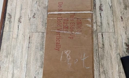娃娃学姐——白羊座165F新娃开箱