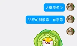 避雷SIGAFUN 腿模 踩坑高定制 不减重 无法使用的骨架