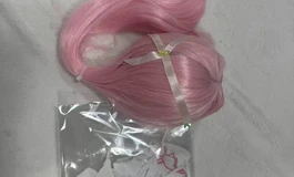 全新未出厂的二次元娃娃一套转卖