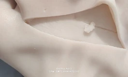 官方说这是正常的