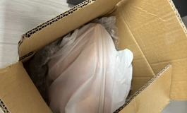 燃厚倒膜公司办公室开箱