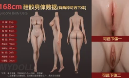 新人求助，老师们下面这些那些娃娃比较好