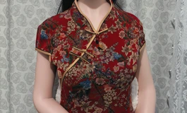 大夫人的靓装8