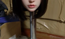 时分欢芯芯