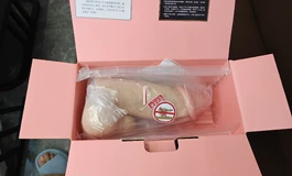 他与她:阳具飞机杯开箱