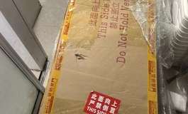 shedoll开箱-176的体型就是大