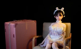 求助各位娃友！这款能放进行李箱的娃娃可以入吗？