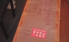 【新人开箱＆多图】当涩影师遇到江小婉 Shedoll 163开箱 附个人体验
