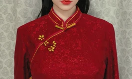 大夫人的靓装9（国风旗袍，尽显东方神韵）