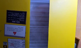 奈也胸模（双皮奶）体验