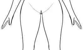 （星动小姐）颈部断面娃娃定制拼团ing