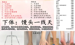 161CM头身一体预售