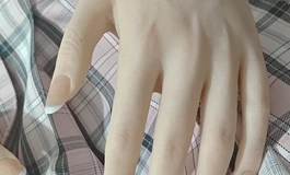 千尤 如烟 松骨架 159 33kg