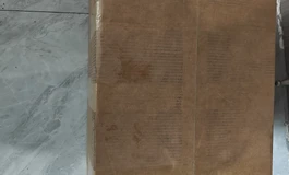 开箱一个XPulse家的臀模