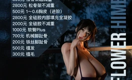 姬和霸王172三视图及细节展示！！！