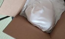 sigafun010p可儿开箱分享