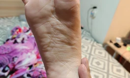 AJL新体型抢先开箱测评