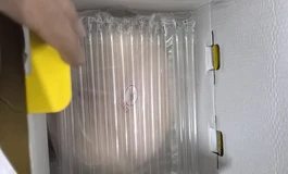 生鱼片体验