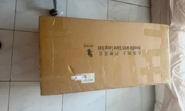 入坑硅胶娃 052开箱 bbw半身