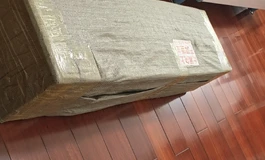 晓鸟，年轻人的第一只全硅胶小娃