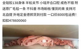这是猫家全硅胶吗？