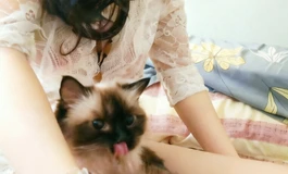 少女与猫