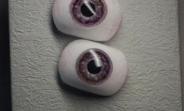 冬天吃香菜0118款手工眼睛