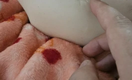 出两套全硅胶一个松骨架一个正常骨架