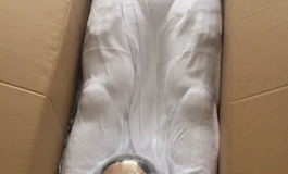 155惊艳开箱