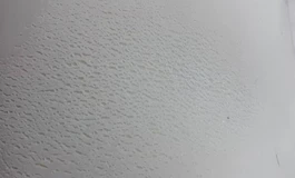 这次真的避雷俊影了