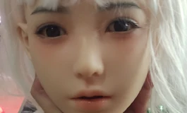 不知道是什么牌子的头和战损身体