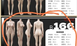 圣杯大哥哥出货日记-YUDOLL166C