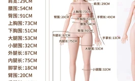 收一个 shedoll 145cm 硅胶 松骨架的  身体  有闭眼头雕也要