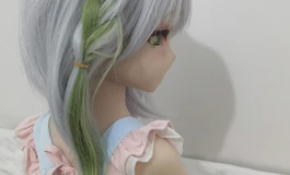 《战败的纳西妲后辈》续