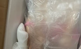 全新仟偭158cm
