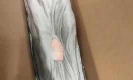 开箱暴雨盲盒